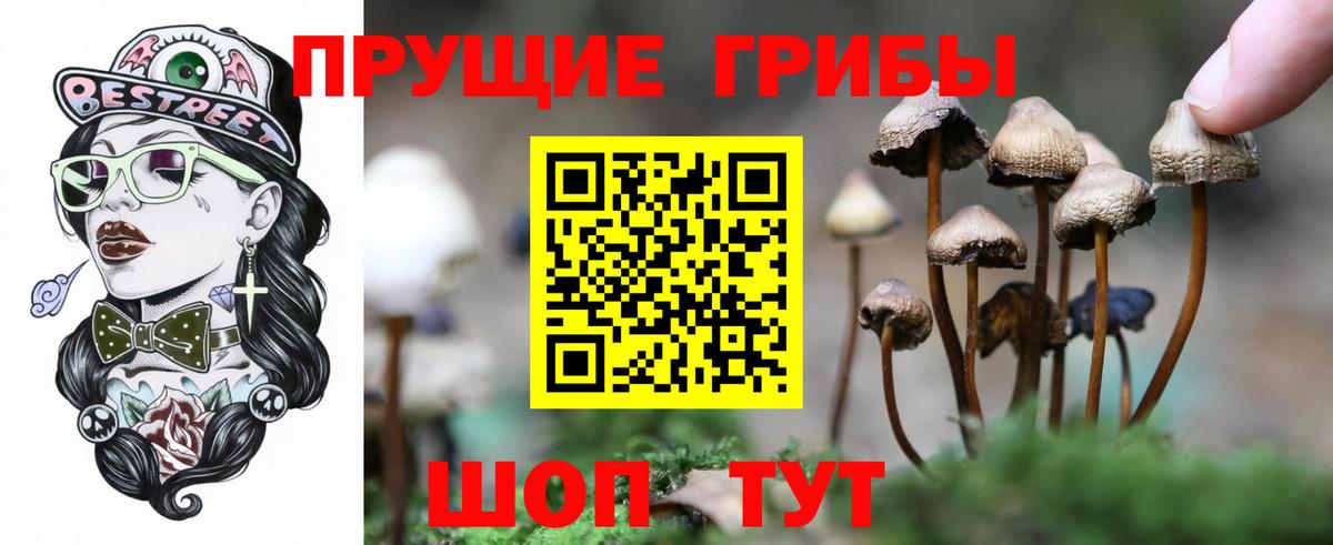 Псилоцибиновые грибы Magic Shrooms  Вход с VPN  Можайск  купить наркотик  Галлюциногенные грибы прущие грибы 